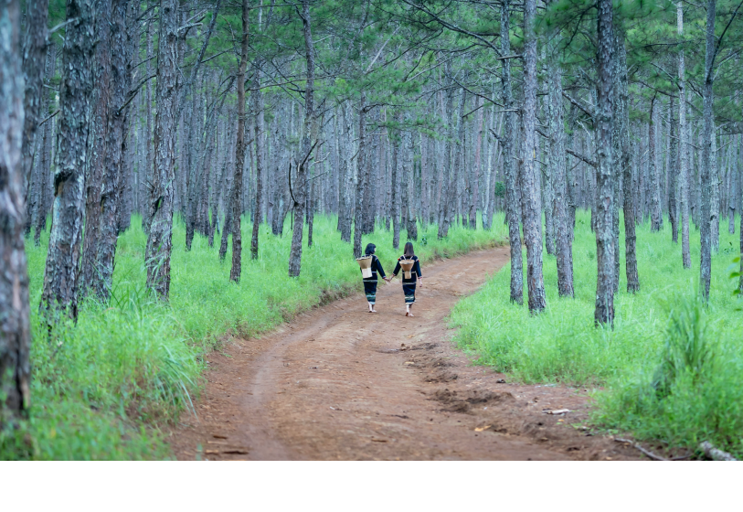 Two girls walking through a forest.