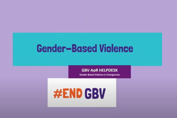 GBV AoR Helpdesk Introductory Video